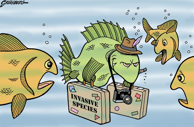 Image result for free cartoon image of invasive species